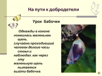 Урок бабочки