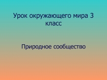 Природное сообщество 3 класс