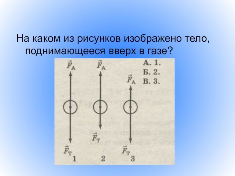 Организм изображенный на рисунке имеет