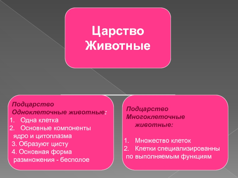 Царство животные огэ презентация