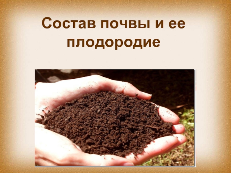 Презентация Состав почвы и ее плодородие