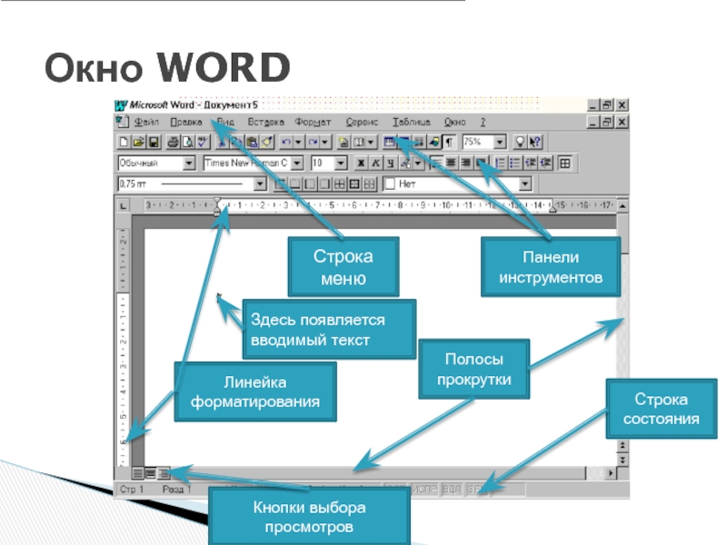 Основное в ворде. Структура рабочего окна MS Word.. Структура окна текстового процессора Microsoft Word. Окно программы Word. Структура окна wordpad.