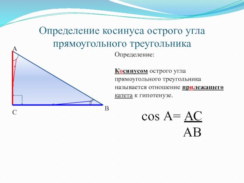 Косинус прилежащий катет