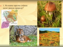 Урок биологии 5 класс «Три среды обитания»