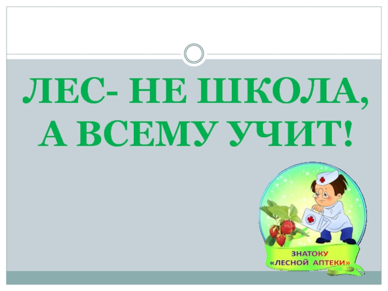 Лес не школа а всему учит сладков план пересказа