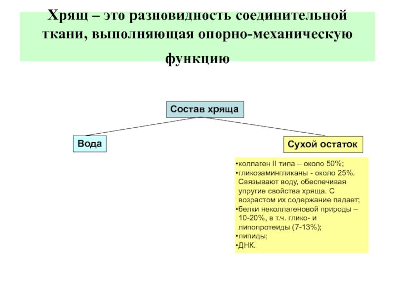 Ткань выполняющая опорную функцию. Механические свойства хрящевой ткани. Состав хряща человека. Выполняет опорную и механическую функции.