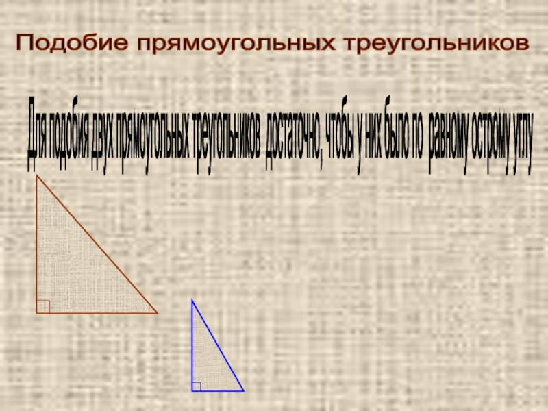 Подобие прямоугольных треугольников Для подобия двух прямоугольных треугольников достаточно, чтобы у них было по равному острому углу