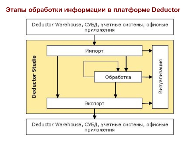 Основные стадии обработки информации презентация