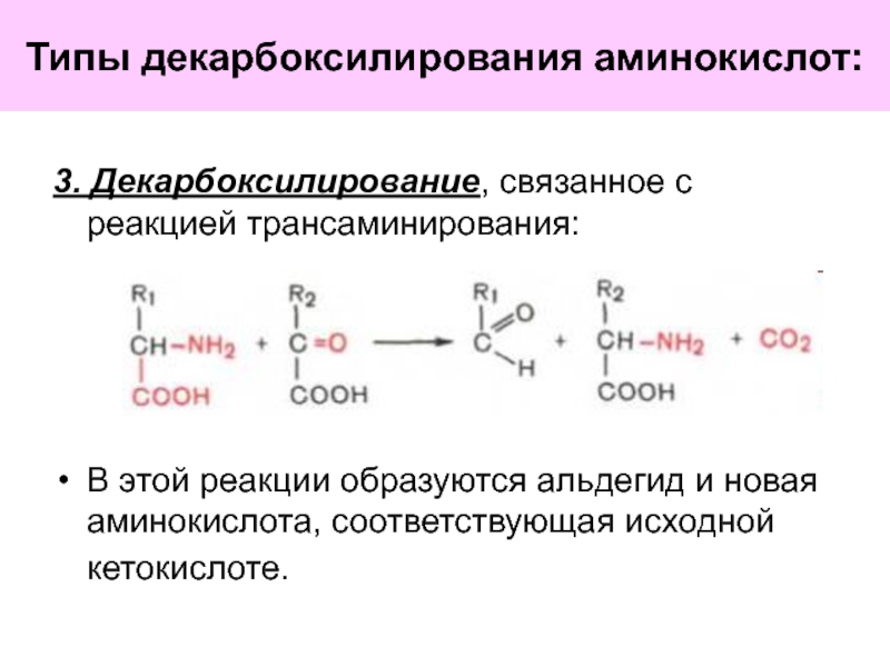 Декарбоксилирование аминокислот презентация