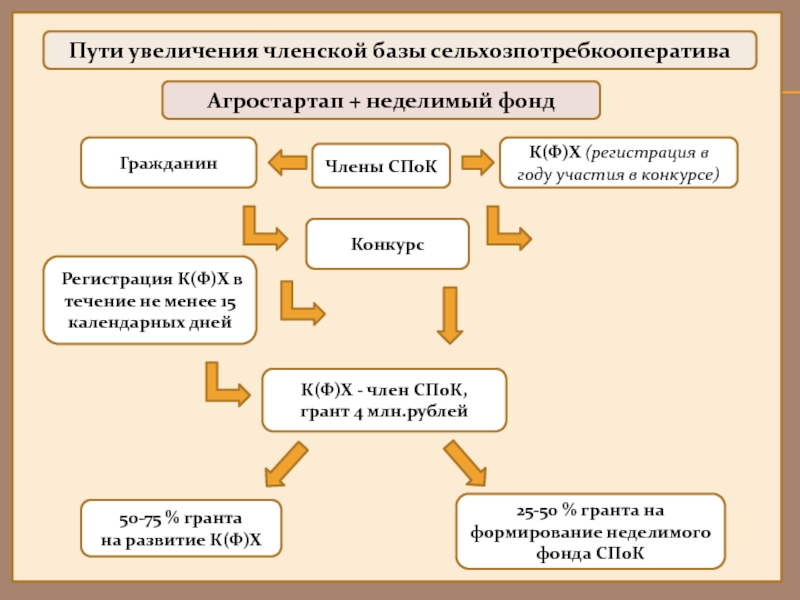 Бизнес план для агростартапа готовый проект