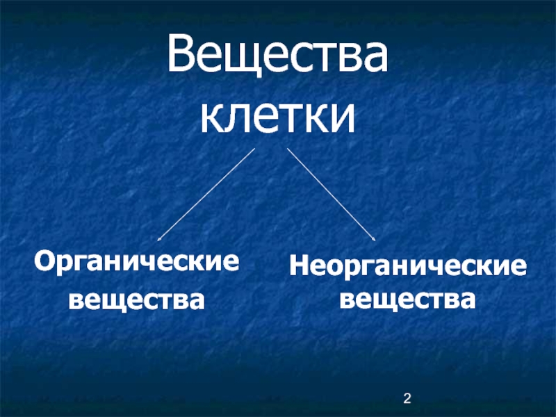 Органические клетки. К неорганическим веществам клетки относятся. Органические вещества клетки Пименов презентация. Самое распространенное органическое вещество в клетке. Органические вещества клетки гриба.