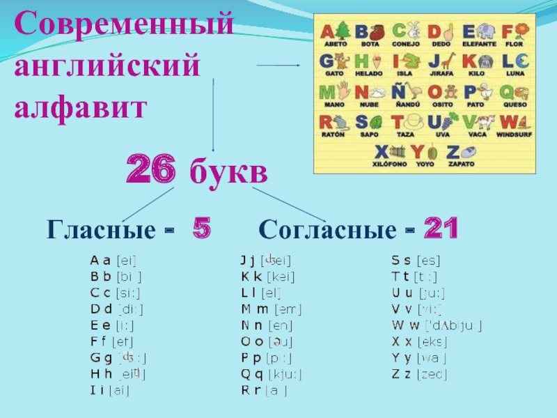 Английский алфавит сколько букв. Гласные и согласные в английском. Гласные буквы английского алфавита. Согласные английского алфавита. Согласные английские буквы.