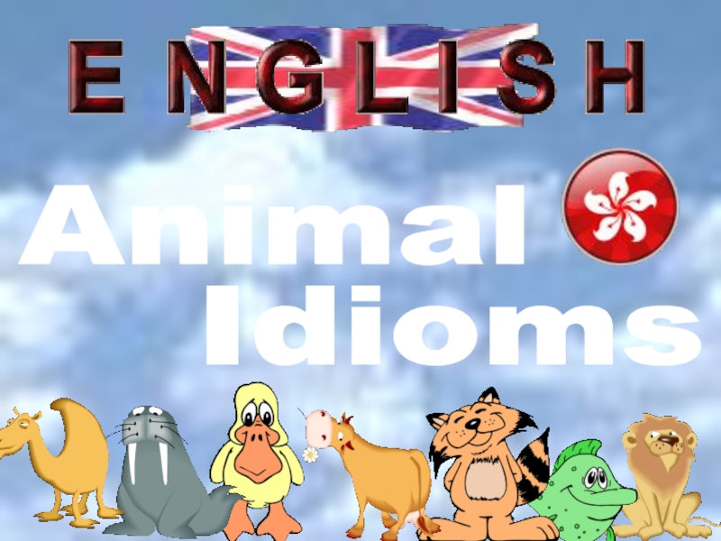 Animal Idioms 8 класс