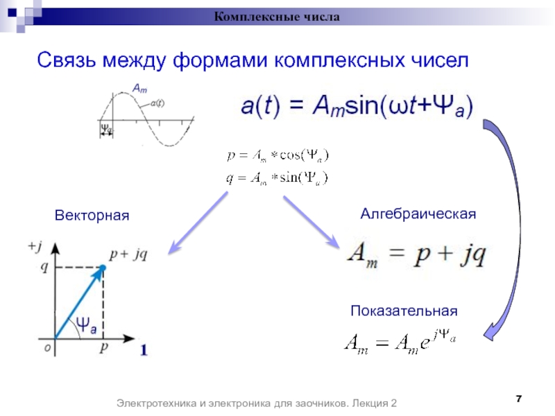 Из алгебраической в показательную. Показательная форма комплексного числа Электротехника. Комплексное форма и алгебраическая Электротехника. Алгебраическая форма комплексного. Комплексные числа в Электротехнике.