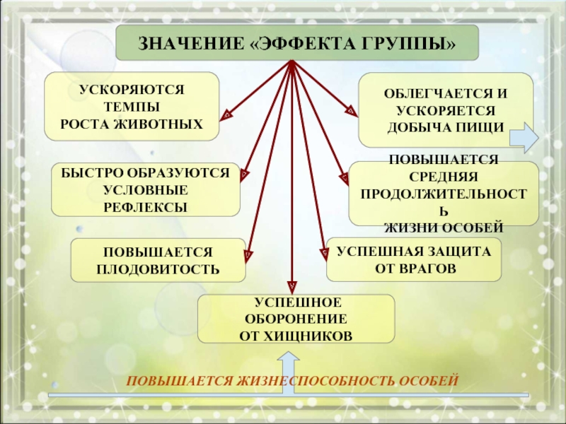 Действие значимости. Эффект группы в экологии. Эффект группы примеры. Эффект группы популяции. Эффект группы примеры животных.