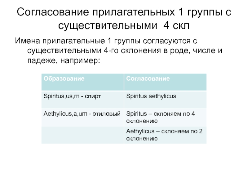 Согласование прилагательных 1 группы с существительными 4 склИмена прилагательные 1 группы согласуются с существительными 4-го склонения в