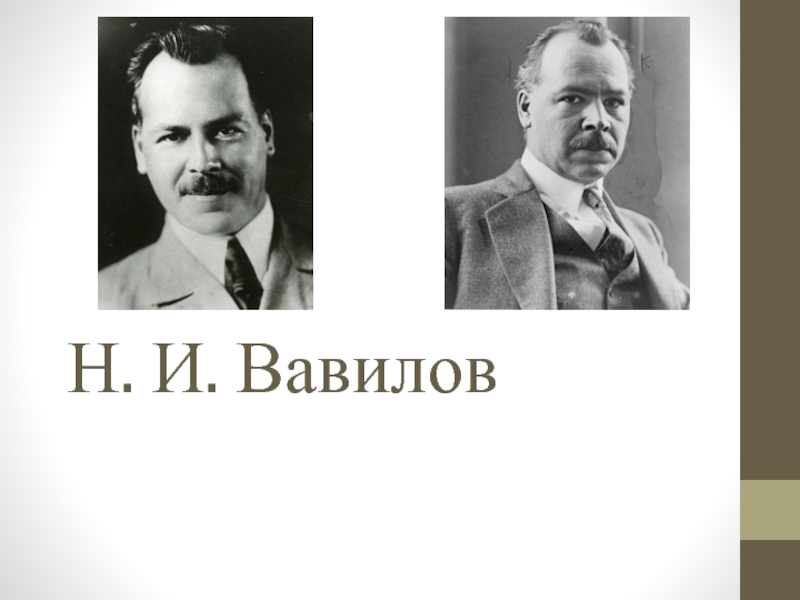 Презентация Н. И. Вавилов