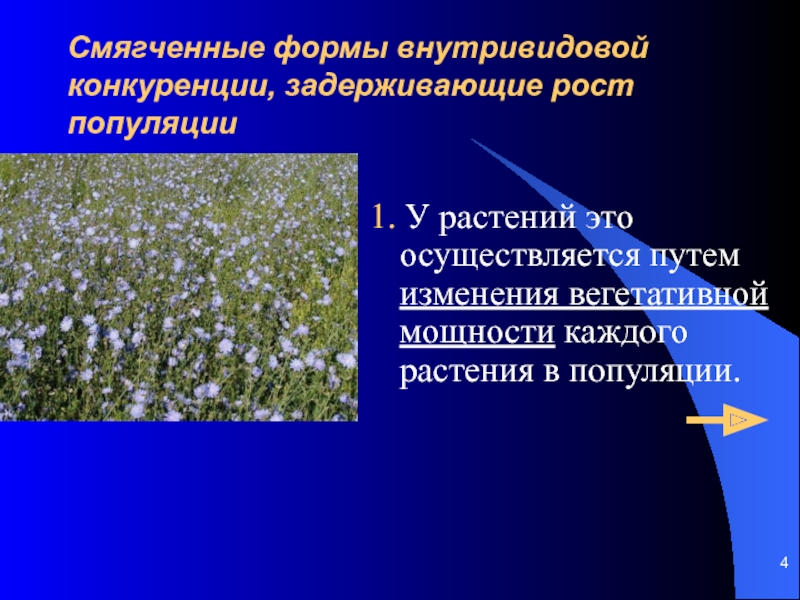 Популяция растений. Половая структура популяции растений. Структура популяции растений. Возрастная популяция у растений. Возрастная структура популяции растений.