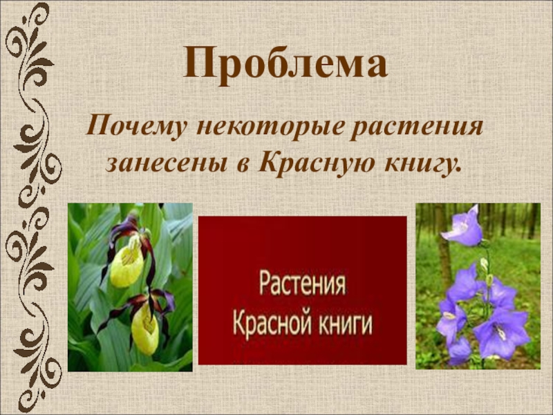 Проект растения занесенные в красную книгу