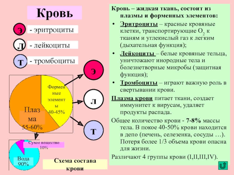 Состоит из плазмы и форменных. Красные кровяные тельца крови транспортируют к тканям а к. Форменные элементы крови транспортирующие кислород и углекислый ГАЗ. Жидкая ткань состоит из. Лейкоциты транспортируют ГАЗЫ.