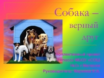 Собака – верный друг