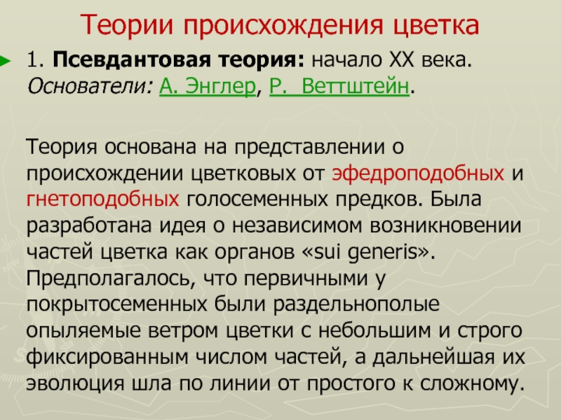 Теория р. Теории происхождения цветка. Теории возникновения цветка. Псевдантовая теория. Гипотезы происхождения цветка.