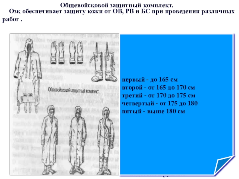 Погоны на озк образец