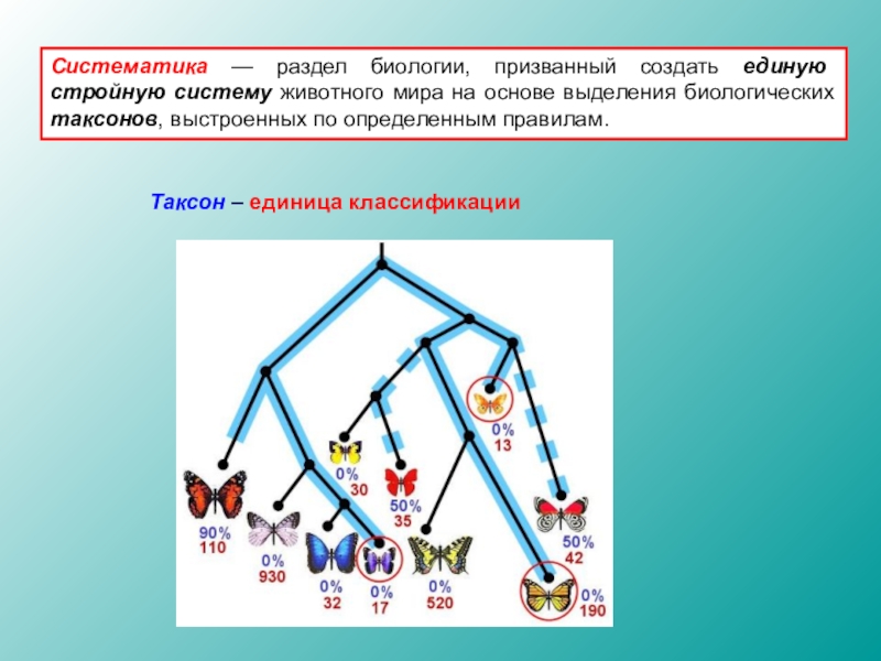 Биологическая единица. Разделы систематики. Систематика коровы по биологии. Систематический метод в биологии. Единицы классификации животных.