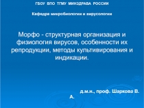 Морфо-структурная организация