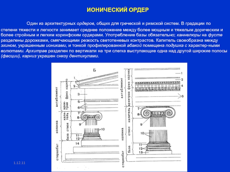 Ордер является. Дорический ионический Коринфский ордер в архитектуре. Карниз Ионического ордера. Ионический ордер состав. Ионический ордер особенности.