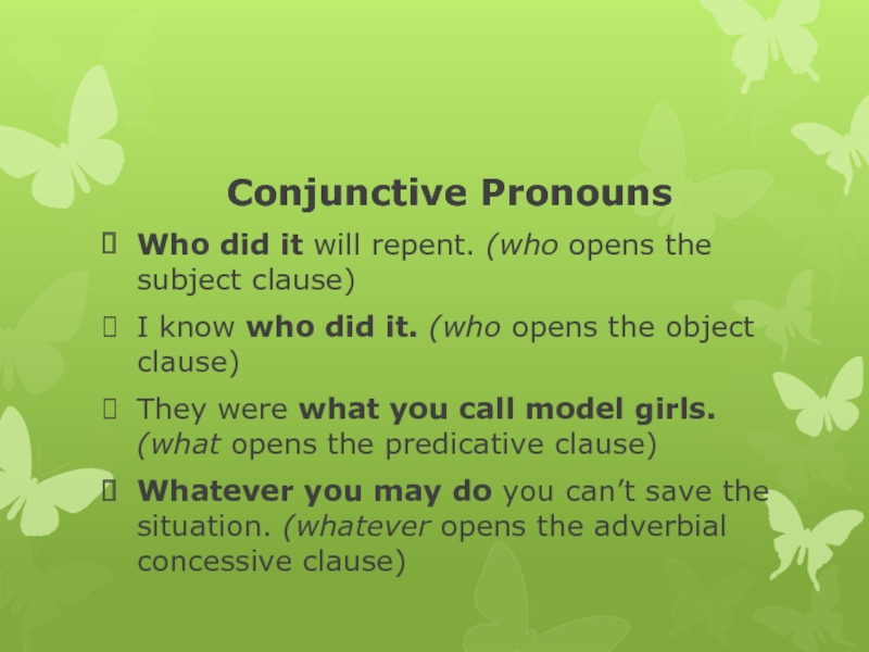 Lecture 12 The Pronoun