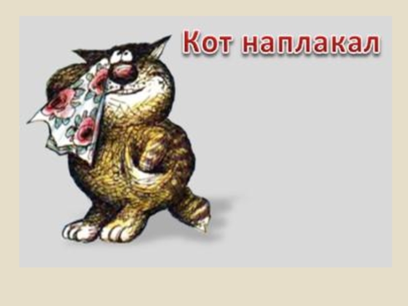 Картинка кот наплакал фразеологизм