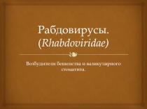 Рабдовирусы. (Rhabdoviridae)  Возбудители бешенства и вазикулярного стоматита.