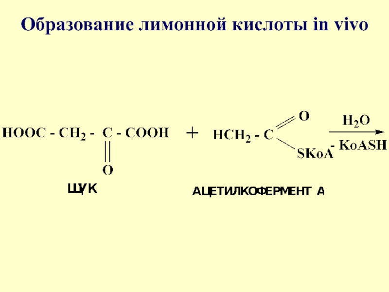 Реакция между уксусной кислотой и калием. Образование щавелевоуксусной кислоты in vivo. Реакция образования лимонной кислоты. Реакция образования кислоты. Реакция образования еислот.