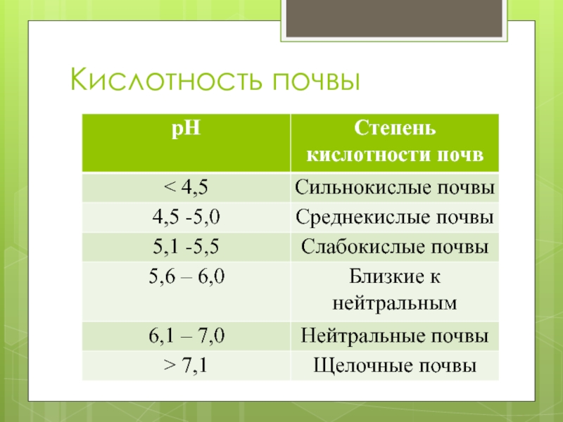 Кислотность почвы для салатов