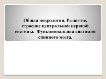 Общая неврология. Развитие, строение центральной нервной системы