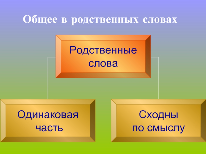 Общее представление о родственных словах