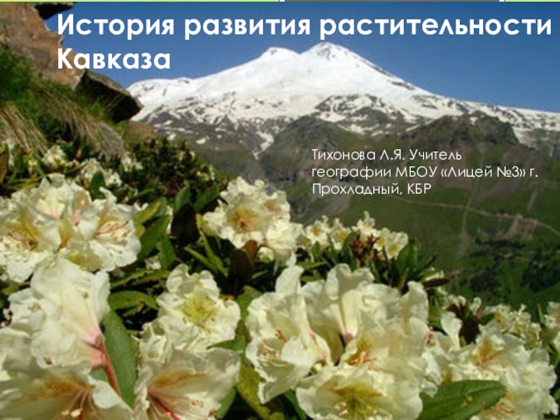 История развития растительности Кавказа