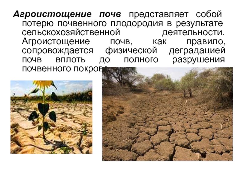 Презентация деградация почвенного покрова