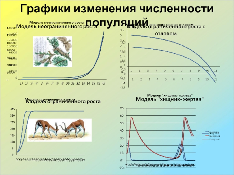 Изменение популяции. Динамика роста численности популяции. Модель неограниченного роста численности популяции. Динамика численности популяции задания. Кривые динамики популяции.