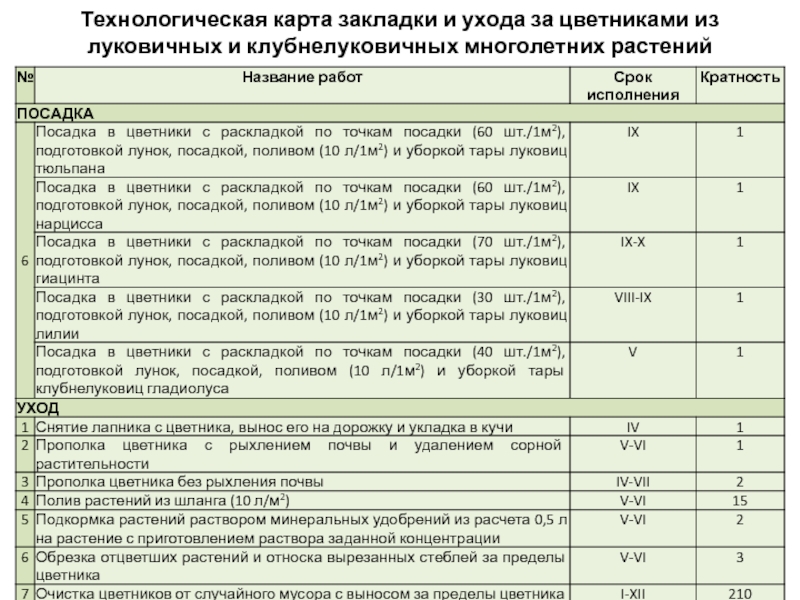 Технологическая карта растений. Технологическая карта многолетних трав. Технологическая карта для многолетних растений. Технологическая карта ухода за цветниками. Технологическая карта уход за луковичными растениями в цветниках.