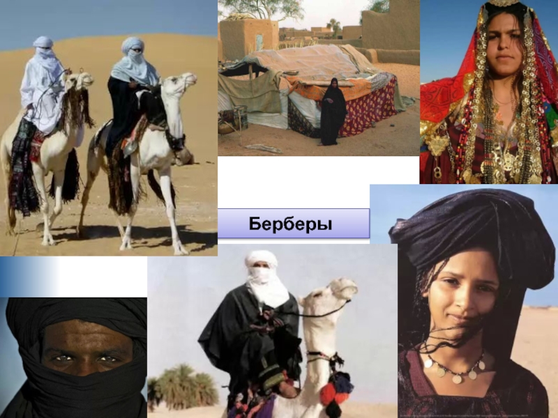 Коренное население арабы и берберы