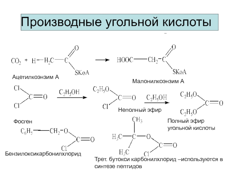 Производные угольной кислотыАцетилкоэнзим АМалонилкоэнзим АФосген Неполный эфирПолный эфир угольной кислотыБензилоксикарбонилхлоридТрет. бутокси карбонилхлорид –используются в синтезе пептидов