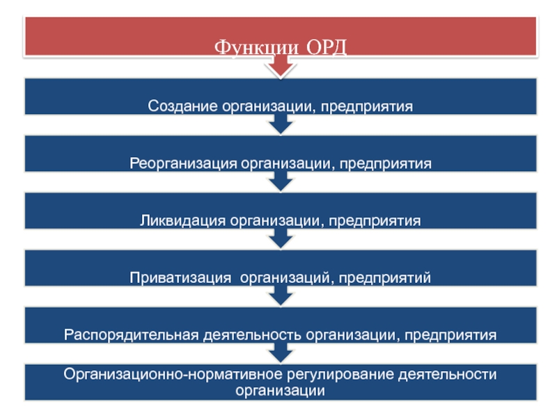 Распорядительные документы презентация