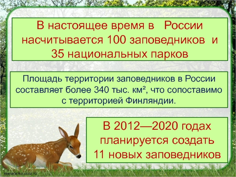 Заповедники и национальные парки россии 4 класс проект по окружающему проект