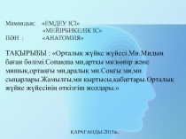 Маманды қ: ЕМДЕУ ІСІ МЕЙІРБИКЕЛІК ІС ПӘН :  АНАТОМИЯ  ТАҚЫРЫБЫ :  Орталы