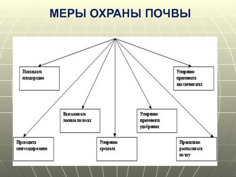 Охрана почв проект