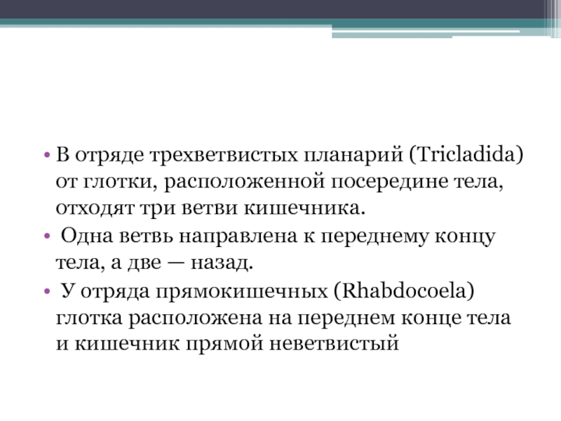 Расположиться посередине. Отряд Трехветвистые Tricladida. Отряд Трехветвистые.