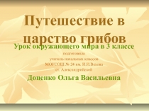 Путешествие грибника. Урок по Окружающему миру.