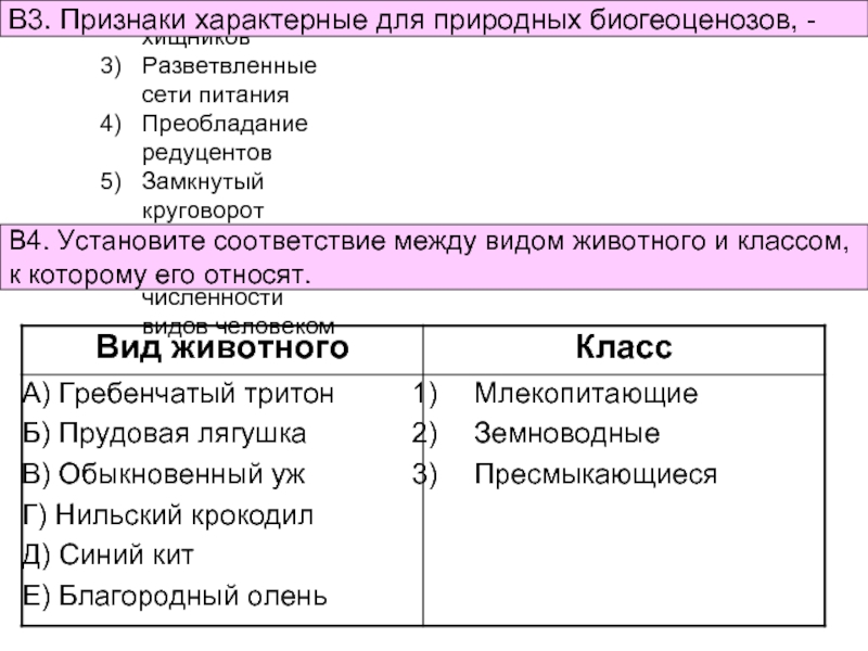 Наибольшее число видов характерно для экосистемы